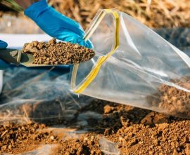 soil-testing-2-1080x675